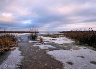 Продается участок, 20 сот., деревня Кривск