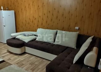 Продаю дом, 104 м2, деревня Есаулова, улица Ф. Ибрагимовой