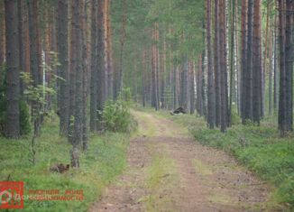 Участок на продажу, 12 сот., деревня Кривко, Урожайная улица