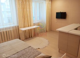 Продажа квартиры студии, 27 м2, Иваново, микрорайон Новая Ильинка, 2, Фрунзенский район