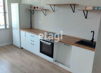 Продажа однокомнатной квартиры, 42.4 м2, посёлок Шушары, Кокколевская улица, 14к2, ЖК Образцовый квартал 9