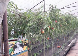 Продам дом, 55.9 м2, село Морзох