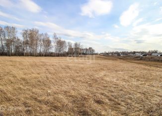 Продажа земельного участка, 9.2 сот., село Фирсово, Кедровая улица