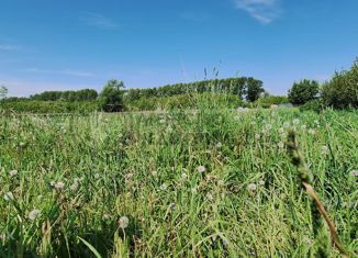 Продам участок, 20 сот., село Чулпаново, Железнодорожная улица