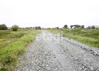 Продам земельный участок, 12 сот., село Сингуль Татарский