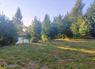 Участок на продажу, 20 сот., деревня Панино, Центральная улица