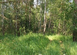 Земельный участок на продажу, 12 сот., Богородский городской округ