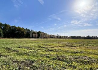 Продаю участок, 1131.22 сот., деревня Васильевка