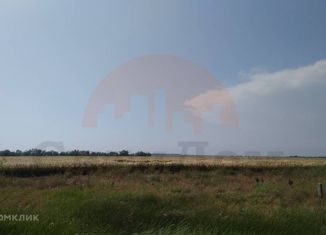 Продажа участка, 200 сот., село Фрунзе, улица Новосёлов