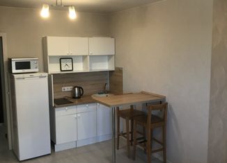 Продается квартира студия, 23.1 м2, Новосибирск, Рябиновая улица, 10/1, Рябиновая улица
