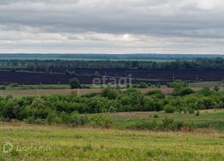 Продается участок, 27 сот., деревня Стяглы