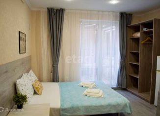 Сдам в аренду квартиру студию, 20 м2, Краснодар, Рашпилевская улица, 67, Рашпилевская улица