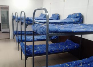 Сдам в аренду дом, 300 м2, Республика Алтай