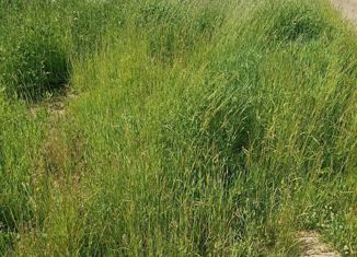 Продам земельный участок, 8 сот., деревня Раскопино