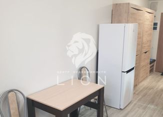 Продаю квартиру студию, 24.31 м2, Санкт-Петербург, Полюстровский проспект, 75, Полюстровский проспект