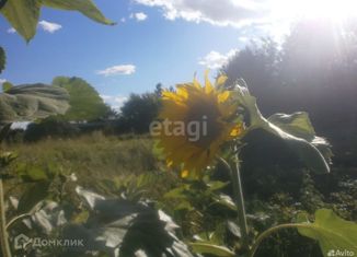 Продам участок, 21 сот., деревня Бузина