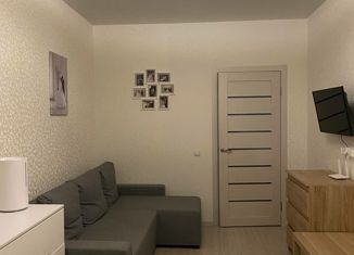 Продам однокомнатную квартиру, 41 м2, Краснодар, улица Евгении Жигуленко, 13, ЖК Победный