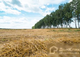 Продам участок, 24.38 сот., село Мокрый Корь