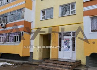 Продаю многокомнатную квартиру, 250 м2, Набережные Челны, Шишкинский бульвар, 17