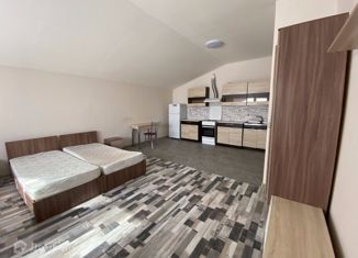 Продается квартира студия, 42 м2, садоводческое товарищество Золотая Балка, садоводческое товарищество Золотая Балка, 85