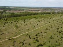 Продам земельный участок, 2000 сот., Большеякинское сельское поселение