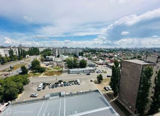 1-комнатная квартира на продажу, 33 м2, Воронеж, Новгородская улица, 139