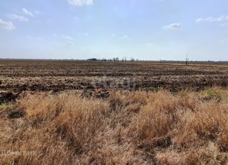 Продажа участка, 213.6 сот., село Орехово