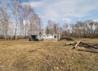 Продается земельный участок, 16 сот., деревня Коняшина