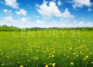 Продам участок, 158.38 сот., сельское поселение Кривское