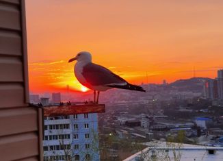 Двухкомнатная квартира на продажу, 43.7 м2, Владивосток, Сахалинская улица, 57