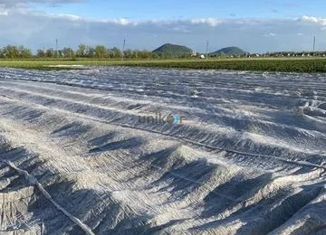 Продажа земельного участка, 24000 сот., село Большой Куганак