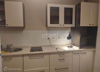 Сдается 1-комнатная квартира, 28.7 м2, Екатеринбург, Утренний переулок, 7, ЖК Авиатор