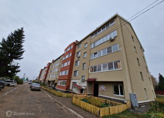 Продажа однокомнатной квартиры, 60 м2, село Дмитриевка, Трактовая улица, 28/1
