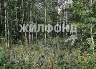 Продается земельный участок, 29.9 сот., рабочий посёлок Кольцово, 50Н-2133, 2-й километр, западное направление