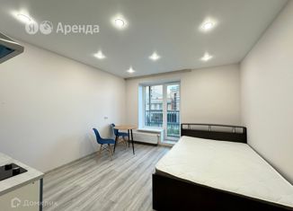 Квартира в аренду студия, 24 м2, Санкт-Петербург, Полевая Сабировская улица, 45к1, метро Пионерская