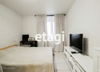 Продаю квартиру студию, 25.3 м2, Санкт-Петербург, проспект Металлистов, 117, проспект Металлистов