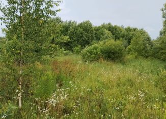 Продам участок, 10 сот., деревня Подгородье, 41К-141