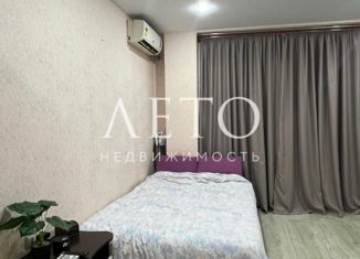 Продается квартира студия, 20 м2, село Весёлое, улица Мира, 133