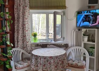 Дом на продажу, 36 м2, СНТ Нефтехимик, СНТ Нефтехимик, 213В