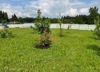 Продается земельный участок, 20 сот., деревня Кстинино, Центральная улица