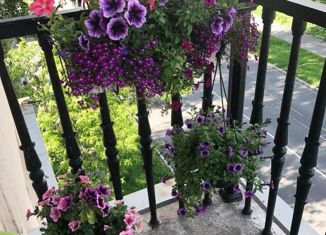 Продам 2-комнатную квартиру, 51.3 м2, Санкт-Петербург, Детская улица, 26, Детская улица