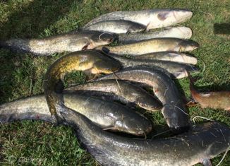 Продам земельный участок, 5 сот., поселок Новый Кутум