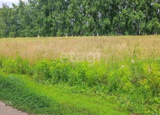 Продаю земельный участок, 12.5 сот., село Усть-Заостровка, 18-я Удачная улица