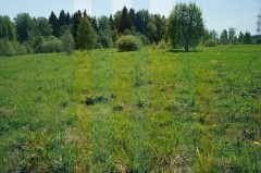 Продажа земельного участка, 15 сот., деревня Хлевино