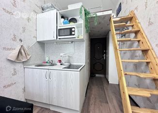 Квартира в аренду студия, 18 м2, Санкт-Петербург, Гродненский переулок, 11, муниципальный округ Смольнинское