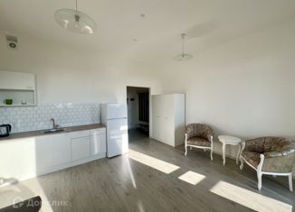 Аренда квартиры студии, 30 м2, Кудрово, проспект Строителей, 3