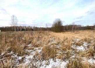 Продажа участка, 30 сот., садоводческое некоммерческое товарищество Борисьево, садоводческое некоммерческое товарищество Борисьево, 241