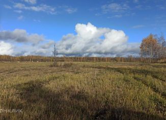 Участок на продажу, 10 сот., деревня Берёзовка, Центральная улица, 28