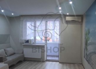 Продажа однокомнатной квартиры, 25.2 м2, Краснодар, Городская улица, 1, Городская улица