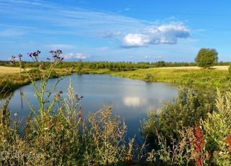 Продам участок, 19.28 сот., село Мокрый Корь